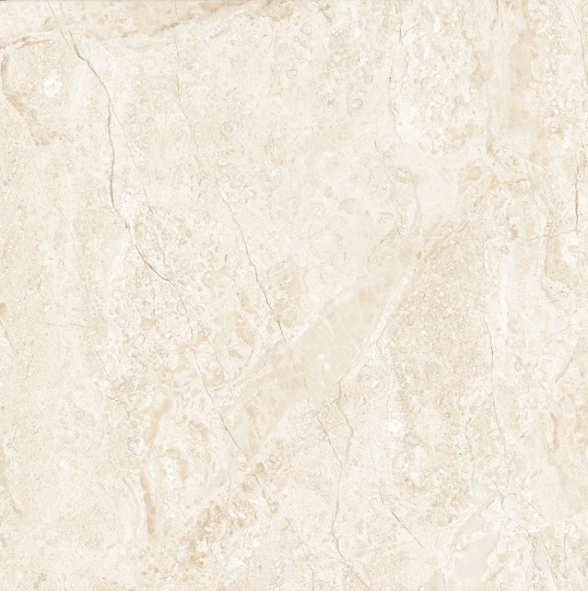 Gạch Granite Vàm Cỏ Đông-4