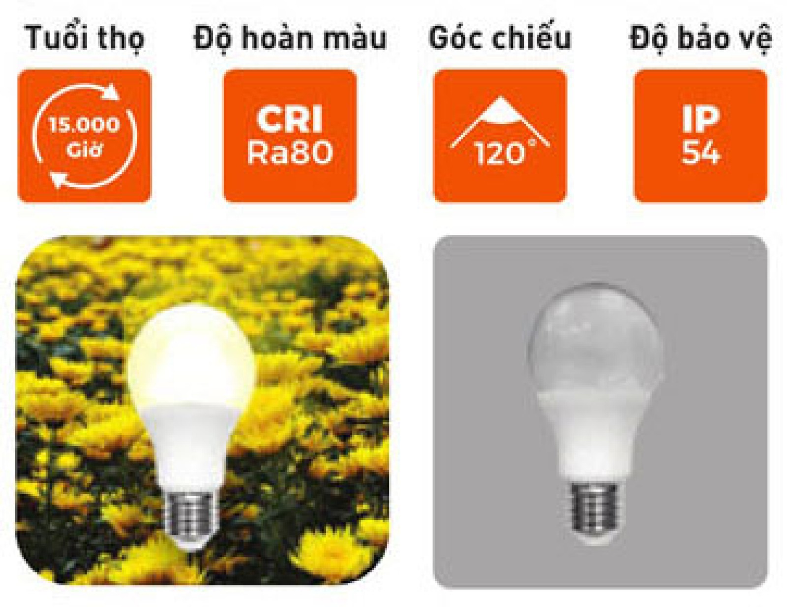 Bóng đèn Led Bulb nông nghiệp hoa cúc-1