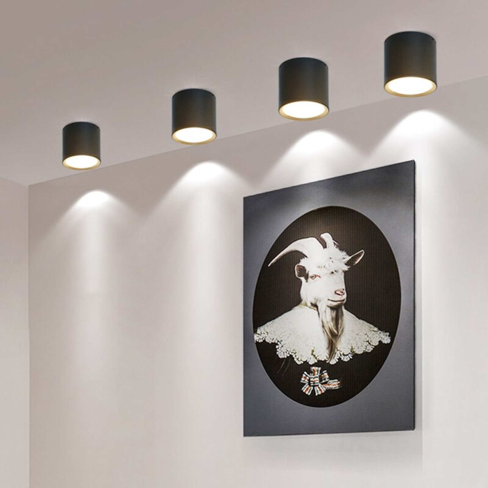 Đèn Led Downlight trụ-3