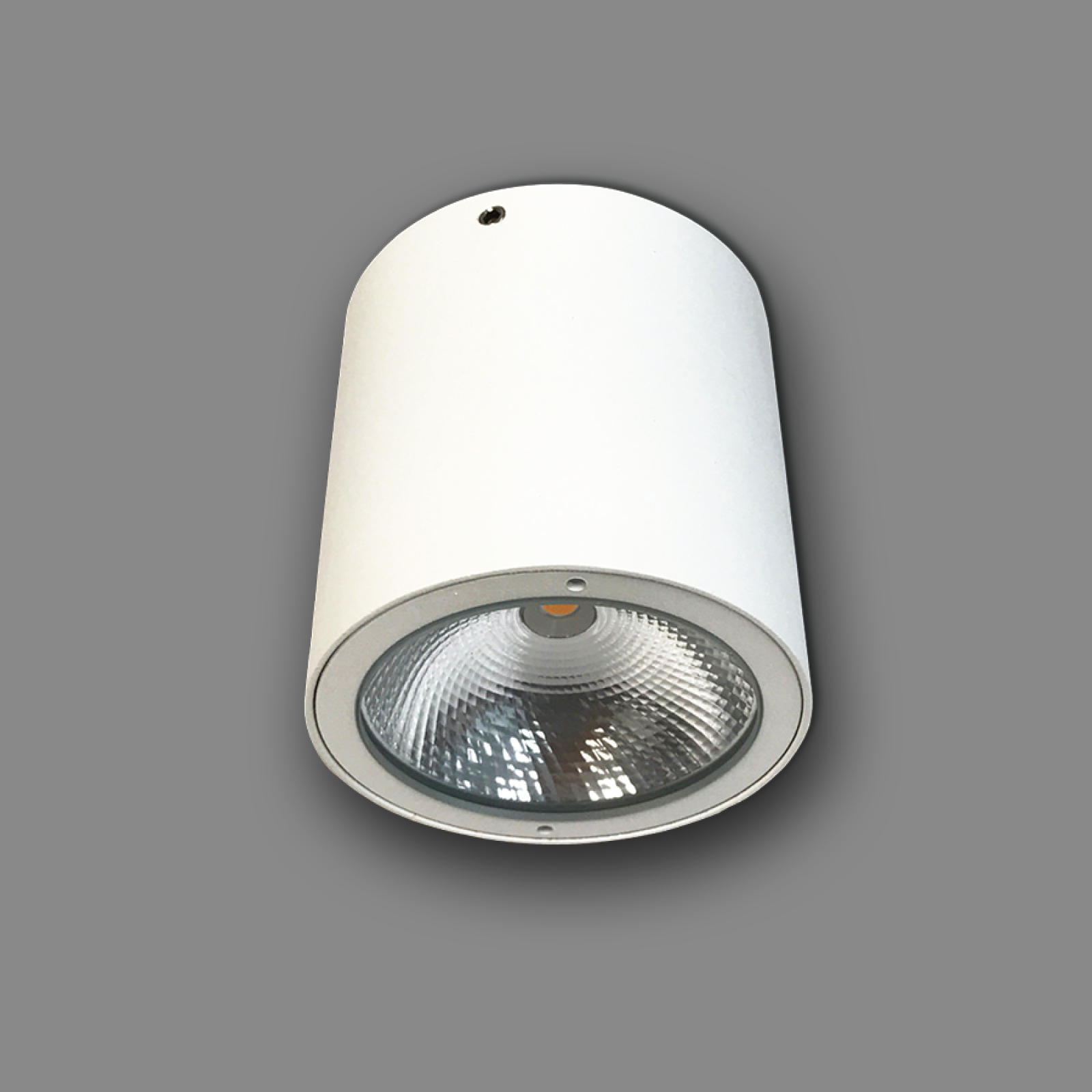 Đèn trần downlight trụ Led NSDL2236