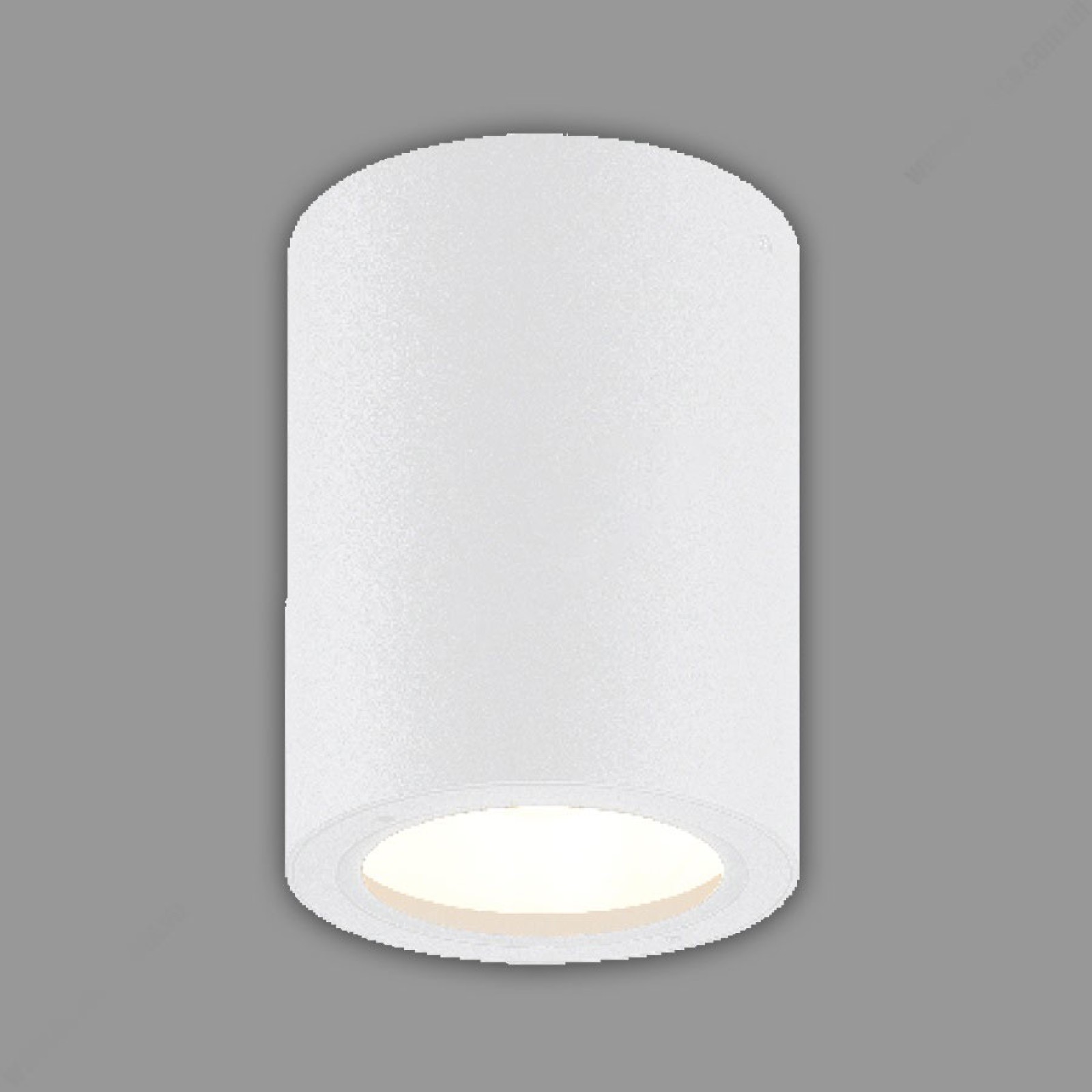 Đèn trần downlight trụ Led Nsdl2025-1