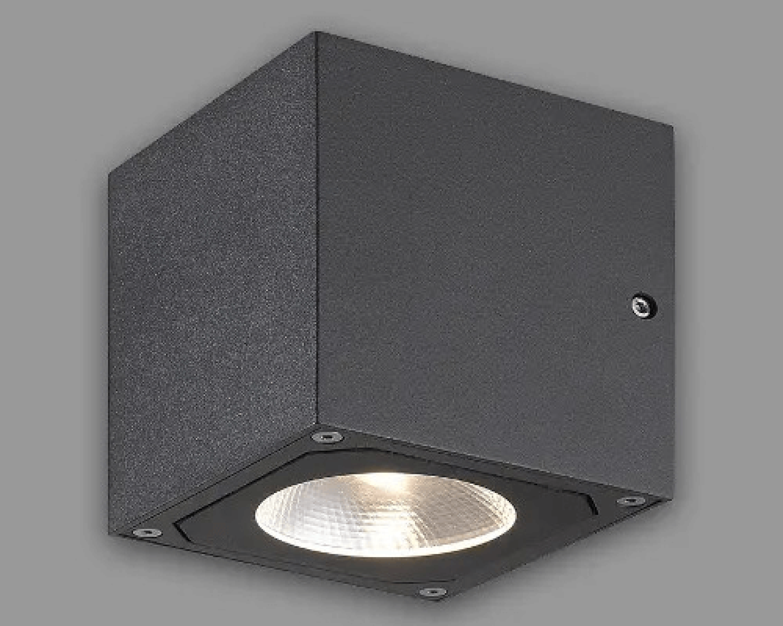 Đèn gắn tường ngoài trời Led NBL2541-1