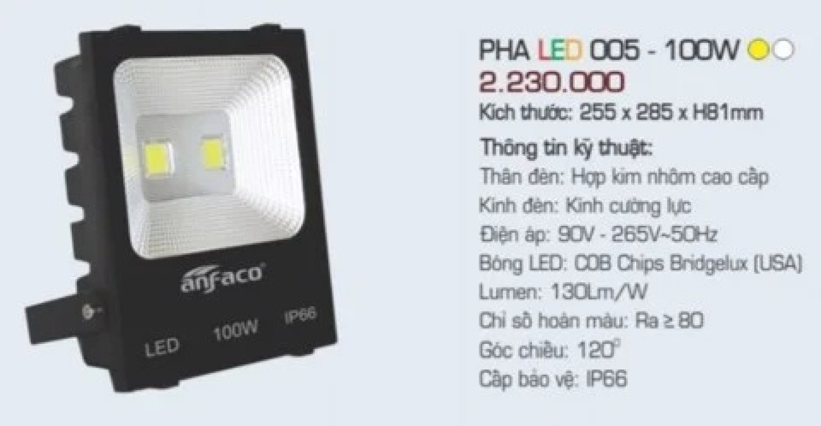 Pha Led 005 100W