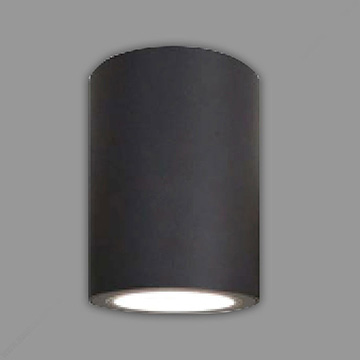 Đèn trần downlight trụ Led Nsdl2025
