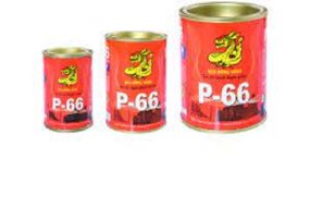 Keo dán đa năng Rồng Vàng P66 110ml