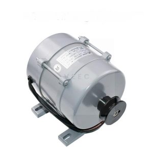 Động cơ cửa thang máy